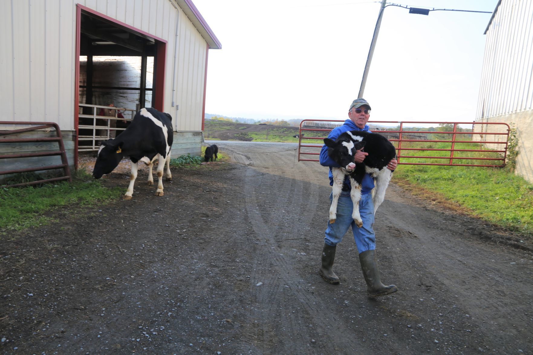 Hollister Brothers Farm
